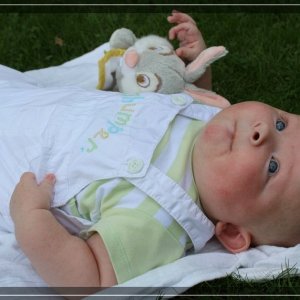 comp IMG 1417