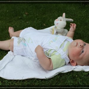comp IMG 1425