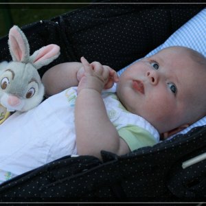 comp IMG 1526