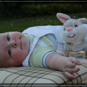 comp IMG 1651