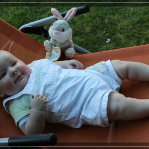 comp IMG 1582
