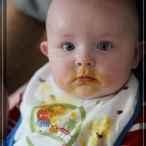 comp IMG 2886