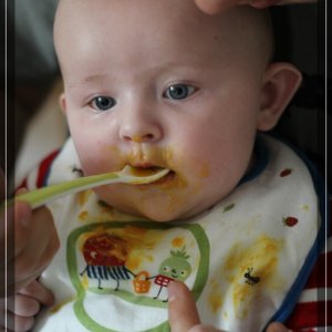 comp IMG 2889