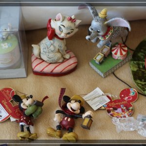 comp IMG 5686