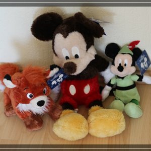 comp IMG 5691