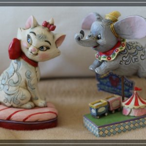 comp IMG 5696