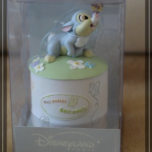comp IMG 5697