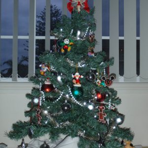 Weihnachtsbaum