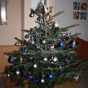 Unsere schöne Disney-Tanne 2009