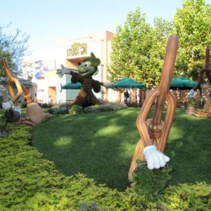 comp IMG 0775