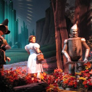 comp IMG 0820
