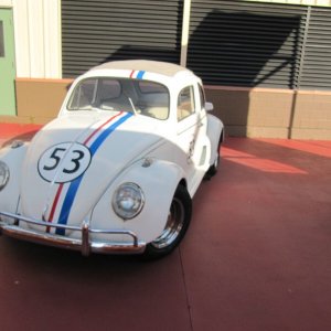 comp IMG 0908