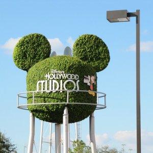 comp IMG 0912