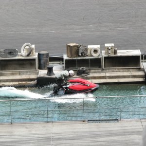 comp IMG 1155