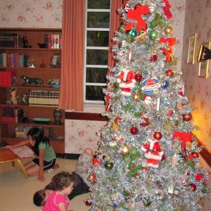 comp IMG 1202