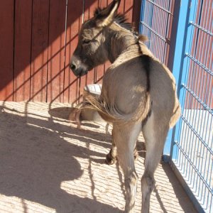 comp IMG 0573