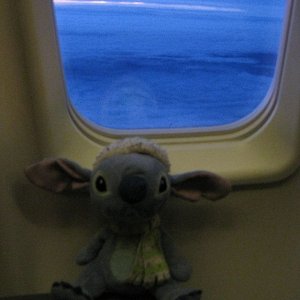 1x Sitzplatz für Stitch
