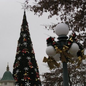 Weihnachtsbaum