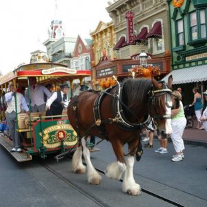 Pferdewagen
