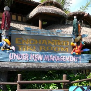 Tiki Room