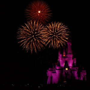 Wishes