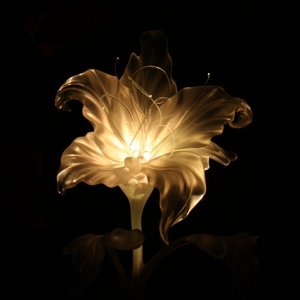 Blume leuchte schöööön...