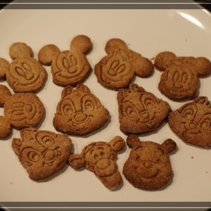 comp IMG 6717