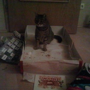 2012 12 24 21.45.30