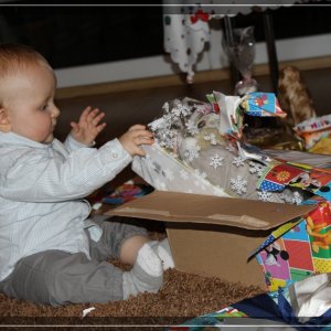 comp IMG 7518
