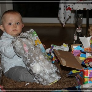comp IMG 7520