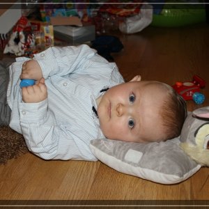 comp IMG 7572