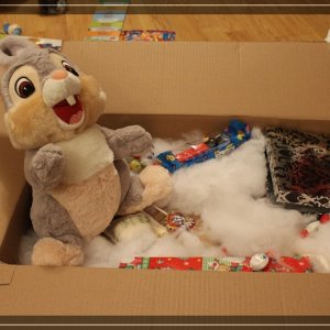 comp IMG 7576