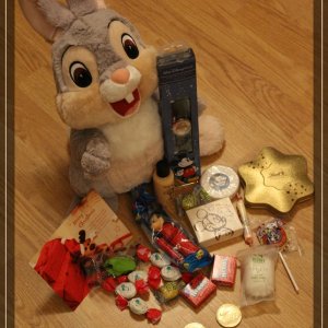 comp IMG 7597