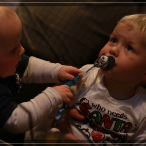 comp IMG 7242