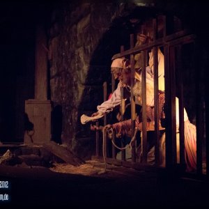 Foto des Tages - 31. Dezember 2012