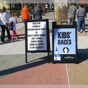 comp IMG 8924