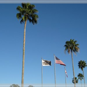 comp IMG 9073