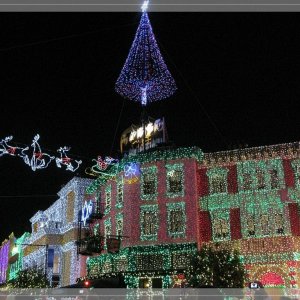 comp IMG 9134