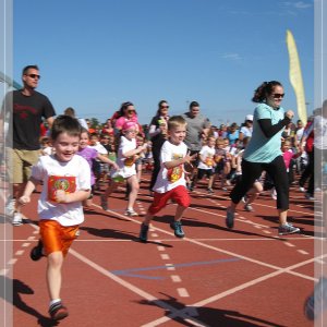 comp IMG 9289