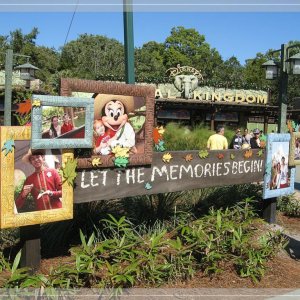 comp IMG 9302