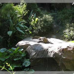 comp IMG 9321