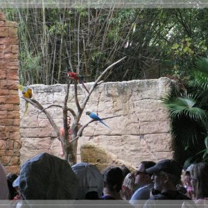 comp IMG 9369