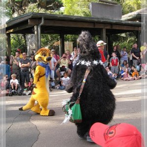 comp IMG 9472