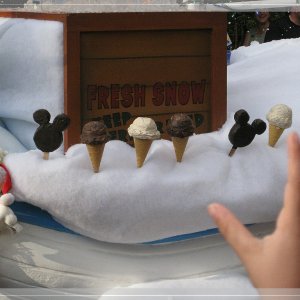 comp IMG 9481