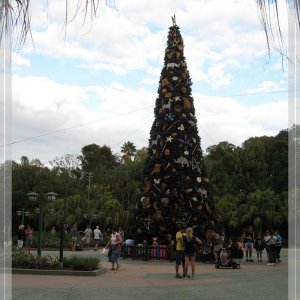 comp IMG 9517