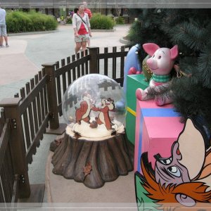 comp IMG 9520