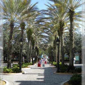 comp IMG 9643