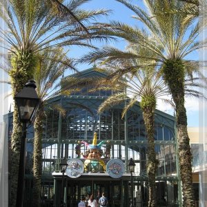 comp IMG 9644