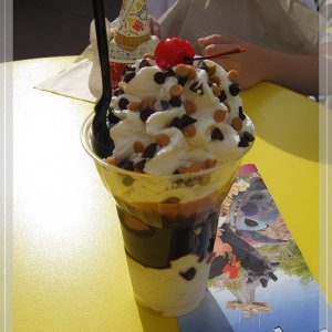comp IMG 9804