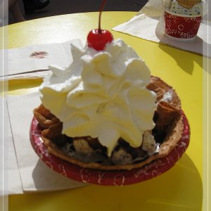 comp IMG 9805